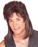 Mullet Wig